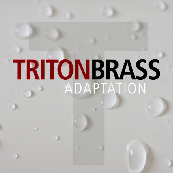 Triton Bass Arrangement logo